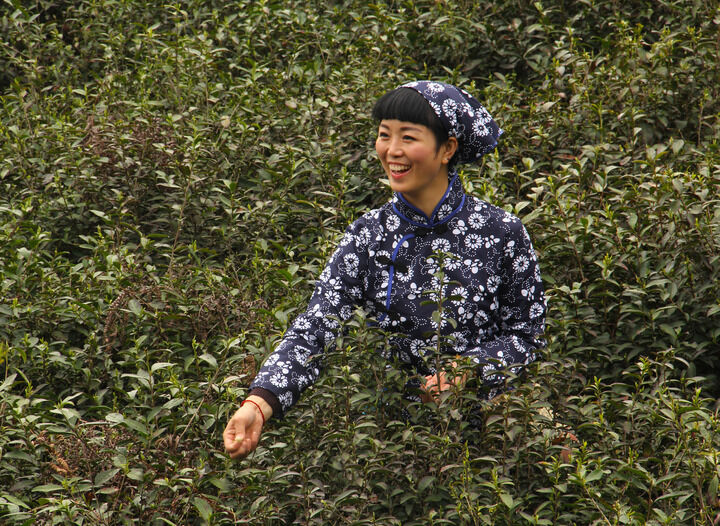 韩国女主播在线 侦探之眼